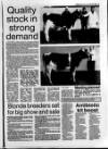 Belfast News-Letter Saturday 05 March 1994 Page 69