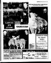 Belfast News-Letter Saturday 09 April 1994 Page 53