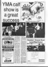 Belfast News-Letter Saturday 06 August 1994 Page 39