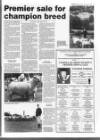 Belfast News-Letter Saturday 13 August 1994 Page 45