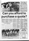 Belfast News-Letter Saturday 13 August 1994 Page 59