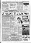 Belfast News-Letter Saturday 01 October 1994 Page 31