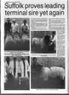 Belfast News-Letter Saturday 01 October 1994 Page 44