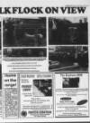 Belfast News-Letter Saturday 12 November 1994 Page 49