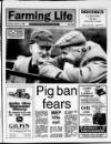 Belfast News-Letter Saturday 13 January 1996 Page 29