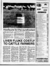 Belfast News-Letter Saturday 13 January 1996 Page 67
