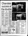 Belfast News-Letter Saturday 09 March 1996 Page 53