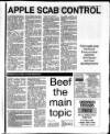 Belfast News-Letter Saturday 01 June 1996 Page 75