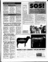 Belfast News-Letter Saturday 14 September 1996 Page 45