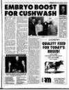 Belfast News-Letter Saturday 21 September 1996 Page 55