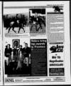 Belfast News-Letter Wednesday 11 February 1998 Page 37