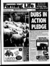 Belfast News-Letter Saturday 08 August 1998 Page 49