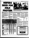 Belfast News-Letter Saturday 12 September 1998 Page 53