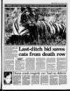 Belfast News-Letter Tuesday 03 November 1998 Page 3