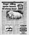 Belfast News-Letter Thursday 07 February 2002 Page 5