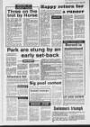 Luton News and Bedfordshire Chronicle Thursday 16 January 1986 Page 29