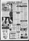 Luton News and Bedfordshire Chronicle Thursday 30 January 1986 Page 17