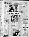 Hemel Hempstead Gazette and West Herts Advertiser Friday 29 January 1982 Page 17