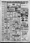 Hemel Hempstead Gazette and West Herts Advertiser Friday 29 July 1988 Page 36