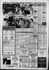 Hemel Hempstead Gazette and West Herts Advertiser Friday 12 August 1988 Page 17