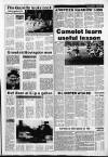 Hemel Hempstead Gazette and West Herts Advertiser Friday 09 December 1988 Page 15