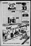 Hemel Hempstead Gazette and West Herts Advertiser Friday 14 April 1989 Page 11