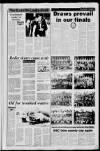 Hemel Hempstead Gazette and West Herts Advertiser Friday 14 April 1989 Page 17