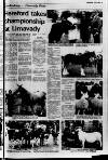 Londonderry Sentinel Wednesday 17 July 1974 Page 19