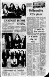 Londonderry Sentinel Wednesday 11 February 1976 Page 29