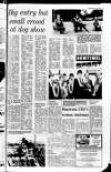 Londonderry Sentinel Wednesday 14 July 1976 Page 19