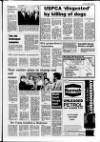 Londonderry Sentinel Wednesday 15 March 1989 Page 5