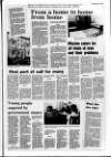 Londonderry Sentinel Wednesday 12 April 1989 Page 13