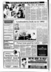 Londonderry Sentinel Wednesday 19 April 1989 Page 14