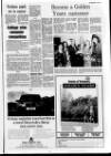 Londonderry Sentinel Wednesday 17 May 1989 Page 11