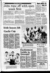Londonderry Sentinel Wednesday 31 May 1989 Page 31