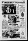 Londonderry Sentinel Wednesday 29 November 1989 Page 29