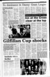 Londonderry Sentinel Wednesday 17 October 1990 Page 35