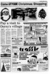 Londonderry Sentinel Wednesday 05 December 1990 Page 17