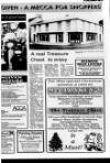 Londonderry Sentinel Wednesday 12 December 1990 Page 29