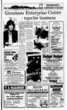 Londonderry Sentinel Thursday 19 March 1992 Page 29