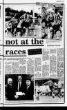 Londonderry Sentinel Thursday 02 April 1992 Page 39