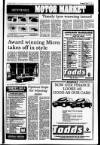 Londonderry Sentinel Thursday 21 January 1993 Page 25