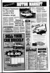 Londonderry Sentinel Thursday 28 January 1993 Page 25