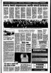 Londonderry Sentinel Thursday 11 March 1993 Page 29