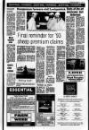 Londonderry Sentinel Thursday 18 March 1993 Page 25