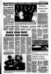 Londonderry Sentinel Thursday 25 March 1993 Page 21