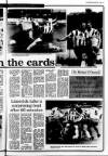 Londonderry Sentinel Thursday 25 March 1993 Page 43