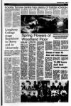 Londonderry Sentinel Thursday 15 April 1993 Page 25