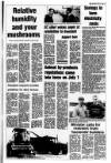 Londonderry Sentinel Thursday 06 May 1993 Page 27