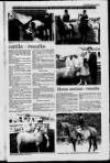 Londonderry Sentinel Thursday 15 July 1993 Page 13